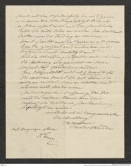 Nachlass Franz Steindachner, Brief von Gustav Schneider (junior) an Franz Steindachner (24.02.1909), Inv.Nr. 462.16, Seite 2